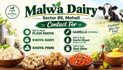 Malwa Dairy Freshness Banner (1)